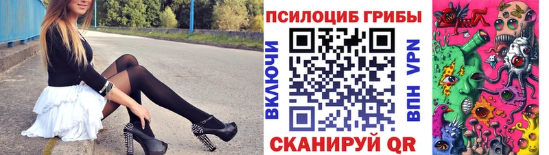 Галлюциногенные грибы Cubensis Северо-Курильск